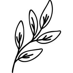 BESİN ETİKETİ OKUMA