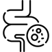 IBS Diyetisyeni